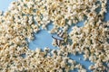 A toy plane over popcorn clouds and blue sky