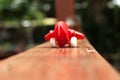 Toy plane with a red propeller. Royalty Free Stock Photo