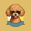Toy poodle cute animal, dog portrait, isolated background - Generative AI