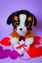 Toy Puppy sits on a white gift box with a Red Ribbon on paper hearts on a purple background Royalty Free Stock Photo