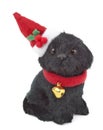 Toy puppy wearing an elf hat Royalty Free Stock Photo