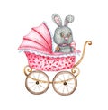 Toy rabbit in baby carriage watercolor Royalty Free Stock Photo