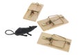 Toy Rat and Mousetraps Royalty Free Stock Photo