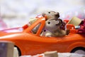 Toy red car squirrel family