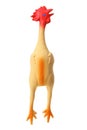 Toy Rubber Chicken Royalty Free Stock Photo