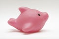 Toy rubber dolphin Royalty Free Stock Photo