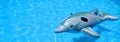 Toy rubber dolphin Royalty Free Stock Photo