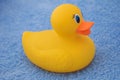 Toy rubber duck Royalty Free Stock Photo