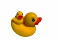 Toy rubber duck chick