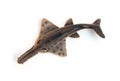 Toy saw shark model on white background