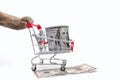 A toy shopping cart with one hundred dollar bills on a white background and cat paws on it Royalty Free Stock Photo