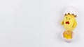 toy small chicken egg shell table. High quality photo