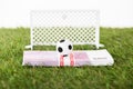 Toy soccer ball on euro banknotes near miniature football gates on green grass isolated on white Royalty Free Stock Photo