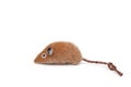 Toy soft mouse with a pet tail, shot on a white background