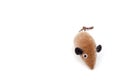 Toy soft mouse with a pet tail, shot on a white background