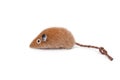 Toy soft mouse with a pet tail, shot on a white background