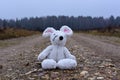 Toy soft mouse sits on a country road wet