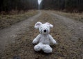 Toy soft mouse sits on a country road wet