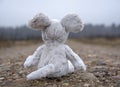 Toy soft mouse sitting on a country road