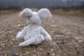 Toy soft mouse sitting on a country road