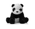 Toy soft panda isolated on white.