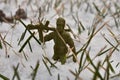 A Toy Soldier Resting His Rifle on His Shoulder in a Patch of Snow Royalty Free Stock Photo