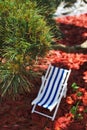 A toy striped beach chair for sunbathing and relaxing is standing in the shade under a bonsai tree on a hot sunny day, sawdust and