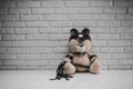 Toy Teddy bear dressed in leather belts and mask accessory for BDSM games on a light background texture of a brick wall