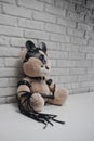 Toy Teddy bear dressed in leather belts and mask accessory for BDSM games on a light background texture of a brick wall Royalty Free Stock Photo