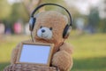 Toy teddy bear hearing music with wooden photo frame with wooden Royalty Free Stock Photo