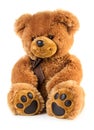 Toy teddy bear Royalty Free Stock Photo