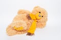 Toy of teddy bear lying on white studio background.. Royalty Free Stock Photo