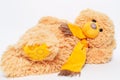 Toy of teddy bear lying on white studio background. Close-up view. Royalty Free Stock Photo