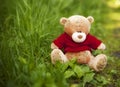 Toy Teddy bear sitting in the grass Royalty Free Stock Photo