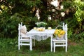 Toy Teddy bear sitting on white chair and cups of tea at the white small table. Children play area in garden. Outdoors wooden chai Royalty Free Stock Photo