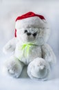 Toy teddy bear wearing Santa hat, on a light background. Royalty Free Stock Photo