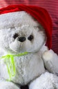 Toy teddy bear wearing Santa hat, on a red background. Royalty Free Stock Photo