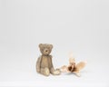 Toy teddy bear with flower