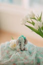 Toy teddy elephant and a bouquet Royalty Free Stock Photo