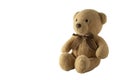 Toy teddy isolated on white background. Little toy, childhoo and education