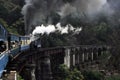 Toy train in Nilgiri mountains Royalty Free Stock Photo