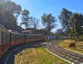 Toy train of shimla Royalty Free Stock Photo