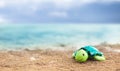 Toy turtle on tropical beach. Sea animal Royalty Free Stock Photo