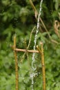 Toy water wheel