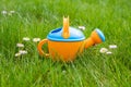 Toy watering can on the background of daisies Royalty Free Stock Photo