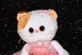 Toy white cat on a black background in a pink dress Royalty Free Stock Photo