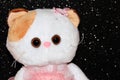 Toy white cat on a black background in a pink dress Royalty Free Stock Photo