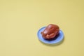 Toy Whole Chicken on a plate on a yellow background