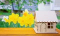 Toy Wooden Cabin by a Daffodils Bed Outdoors