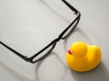 Toy yellow rubber duck on the desktop. Opposition symbol and political struggle Royalty Free Stock Photo